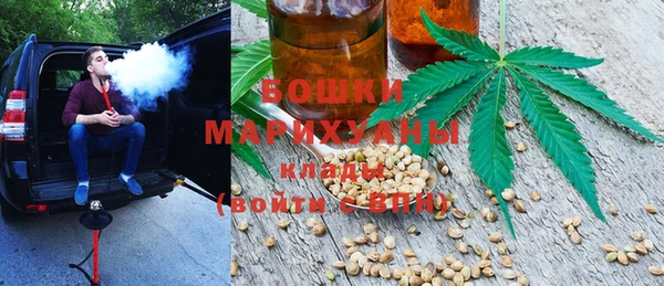 мдпв Горно-Алтайск