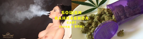 мдпв Горно-Алтайск