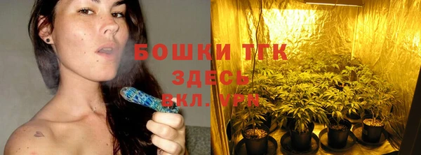 мдпв Горно-Алтайск