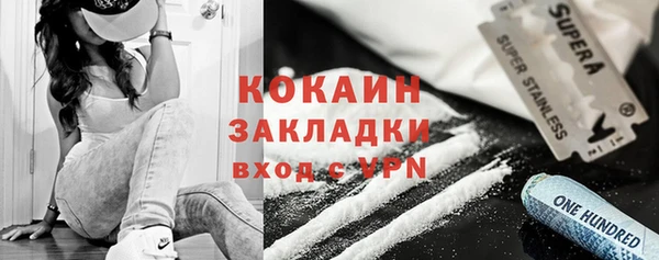 бошки Горняк