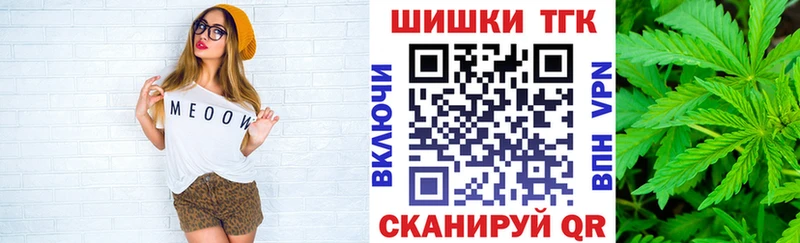 даркнет сайт  Грязовец  мега как войти  Каннабис сатива 